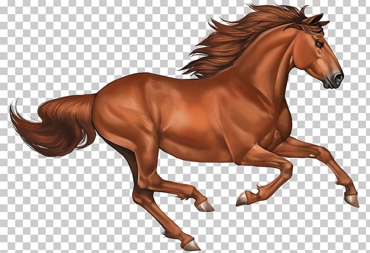 Mustang Stallion PNG, Clipart, Animal Figure, Bridle, Desktop Wallpaper, Display Resolution, Encapsulated Postscript Free PNG Download