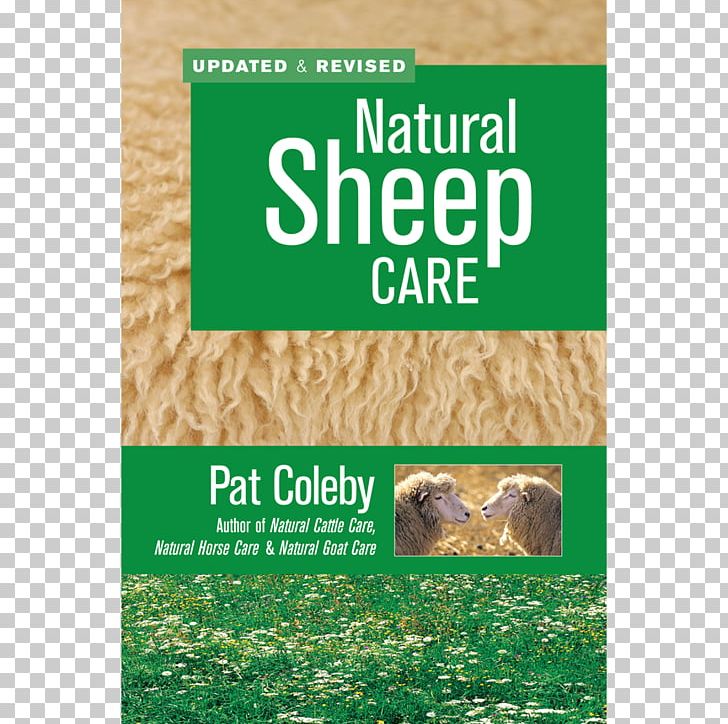 Natural Sheep Care Natural Goat Care Shetland Sheep Livestock PNG, Clipart, Advertising, Animal Husbandry, Animals, Barnes Noble, Book Free PNG Download