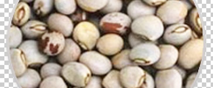 Pigeon Pea Soybean Pistachio Seed PNG, Clipart, Bean, Commodity, Food, Health, Ingredient Free PNG Download