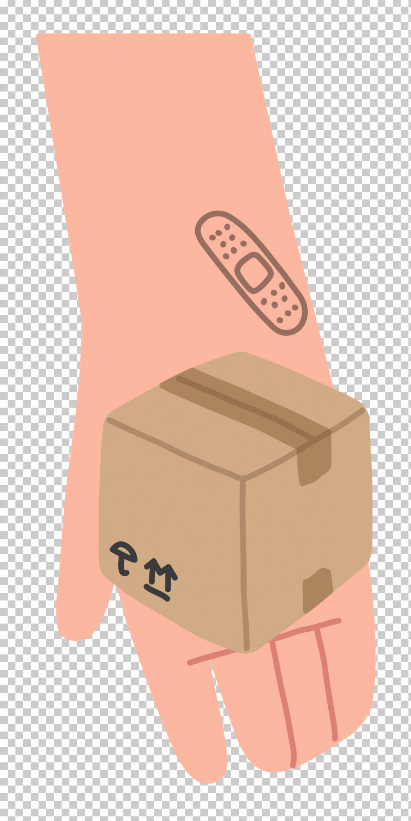 Hand Giving Box PNG, Clipart, Biology, Hm, Human Biology, Human Skeleton, Joint Free PNG Download