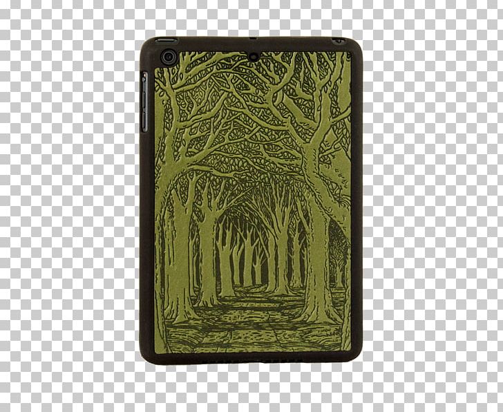 Avenue Of Trees Notebook Green Rectangle PNG, Clipart, Air Fern, Avenue, Grass, Green, Leather Free PNG Download