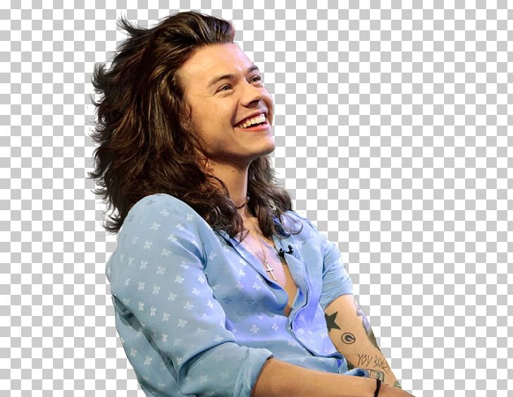 Harry Styles Actor One Direction Desktop PNG, Clipart, Actor, Arm, Boy, Brown Hair, Computer Icons Free PNG Download
