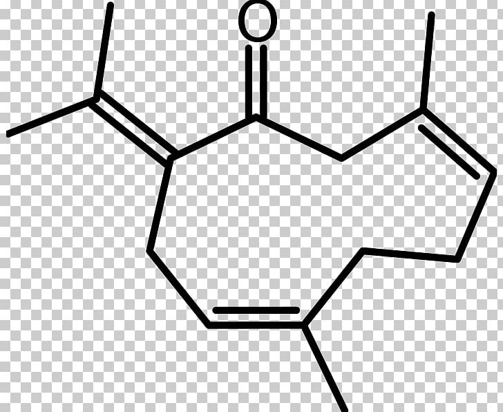 Western Redcedar Peptide Caprolactam Chemical Synthesis PNG, Clipart, Amide, Angle, Area, Bases, Black Free PNG Download