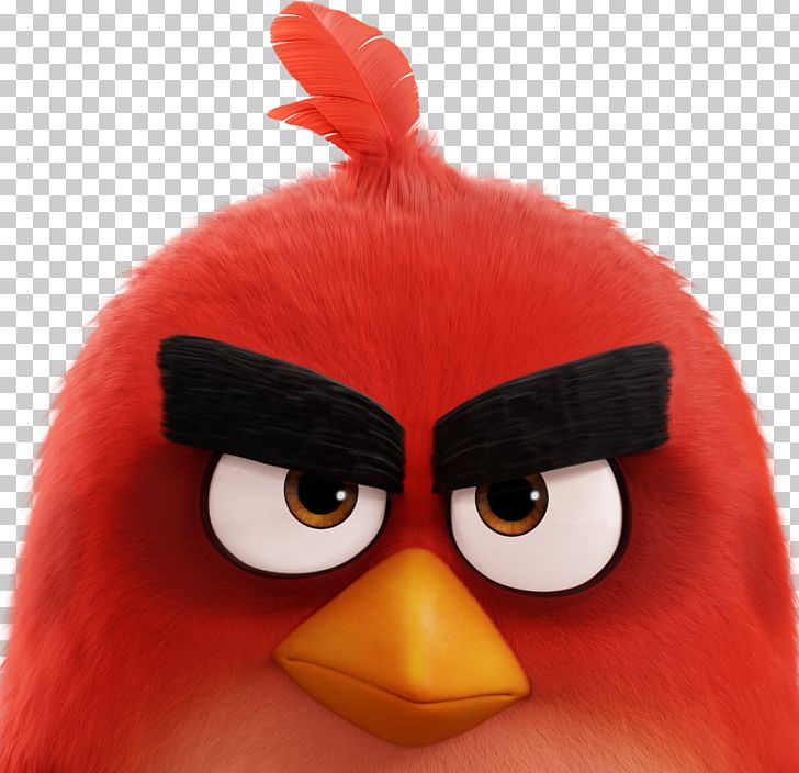 Angry Birds Action! Angry Birds Star Wars Angry Birds POP! Angry Birds 2 PNG, Clipart, Angry Bird, Angry Birds, Angry Birds 2, Angry Birds Action, Angry Birds Movie Free PNG Download
