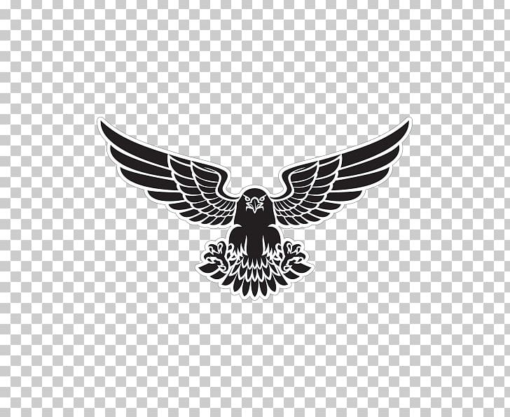 Eagle Drawing PNG, Clipart, Animals, Art, Bird, Bird Of Prey, Black And White Free PNG Download