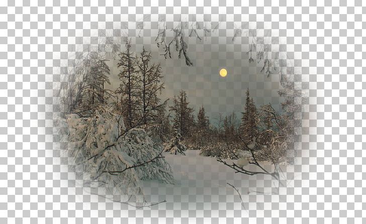 Full Moon Snow Winter Polar Night PNG, Clipart, Blizzard, Branch, Cold, Computer Wallpaper, Fog Free PNG Download