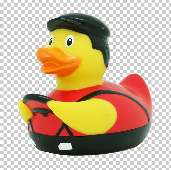 Rubber Duck Toy Bathtub Bathroom PNG, Clipart, Anatini, Animals, Bathtub, Beak, Bird Free PNG Download