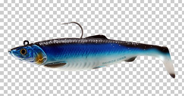Sardine American Shad Fishing Baits & Lures Herring PNG, Clipart, American Shad, Angling, Bony Fish, Fauna, Fish Free PNG Download