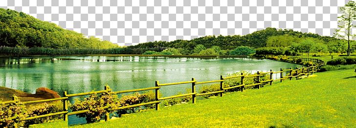 Lawn Villa Lake Pond PNG, Clipart, Ecosystem, Forest, Grass, Grass Family, Gratis Free PNG Download