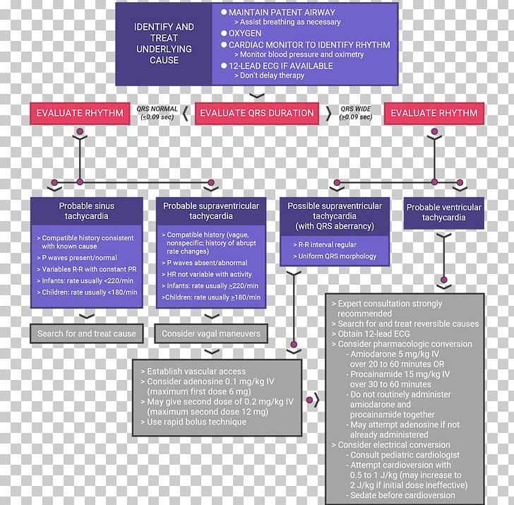 Perfusion Algorithm Pediatric Advanced Life Support Pulse Decision Tree PNG, Clipart, American Heart Association, Cardiac Arrest, Child, Communication, Decision Tree Free PNG Download