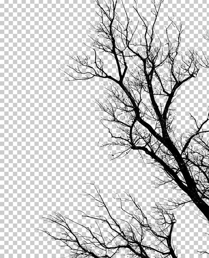 Dead By Daylight YouTube Theme PNG, Clipart, Black And White, Branch, Dead By Daylight, Death, Desktop Wallpaper Free PNG Download