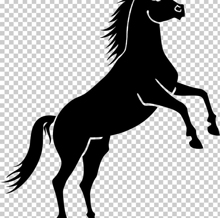 Horse Equestrian Black PNG, Clipart, Animals, Black, Black And White, Bridle, Chess Free PNG Download