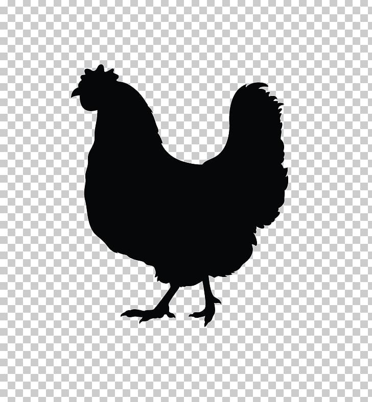 Silkie Rooster Silhouette PNG, Clipart, Animals, Beak, Bird, Black And White, Chicken Free PNG Download