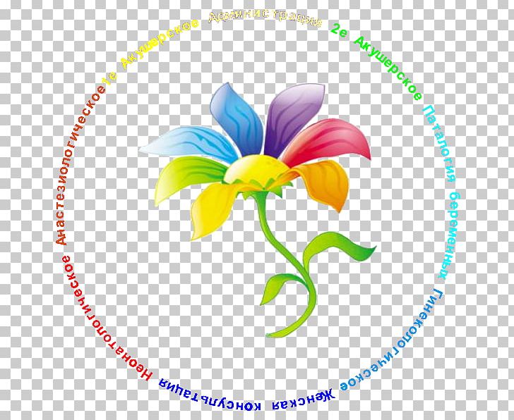 Tsvetik Semitsvetik Kindergarten Child School Floral Design PNG, Clipart, Area, Artwork, Child, Circle, Computer Icons Free PNG Download