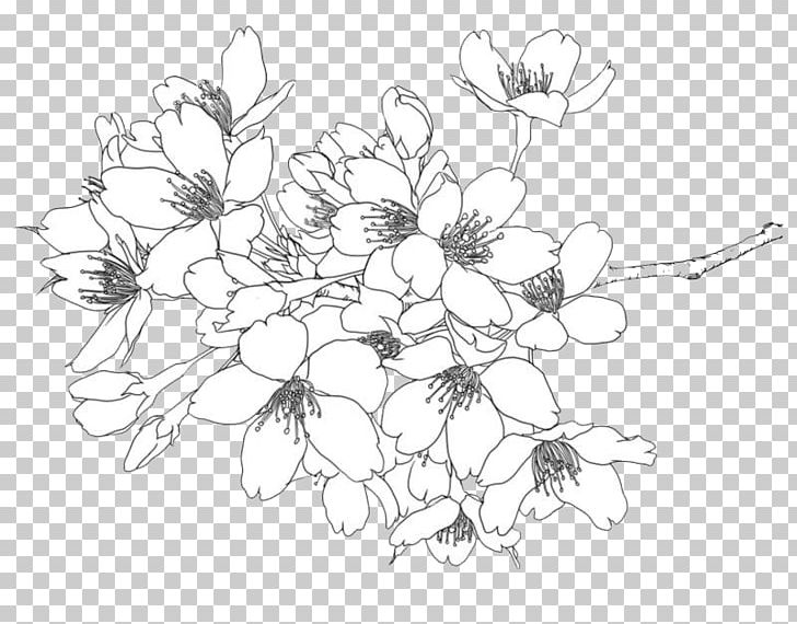Cherry Blossom Illustration PNG, Clipart, Abstract Lines, Area, Branch, Drawing, Encapsulated Postscript Free PNG Download