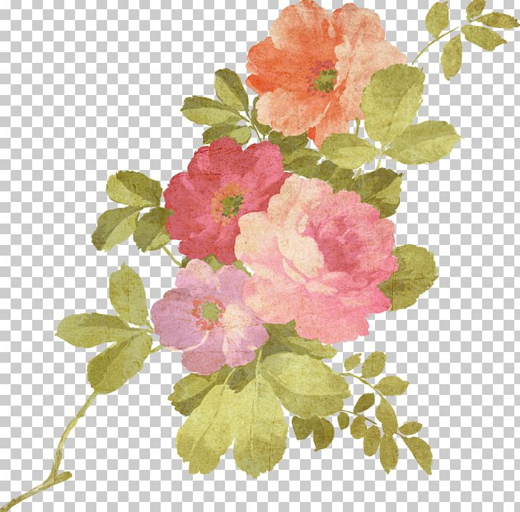 Watercolour Flowers Watercolor Painting PNG, Clipart, Annual Plant, Art, Blossom, Branch, Cut Flowers Free PNG Download