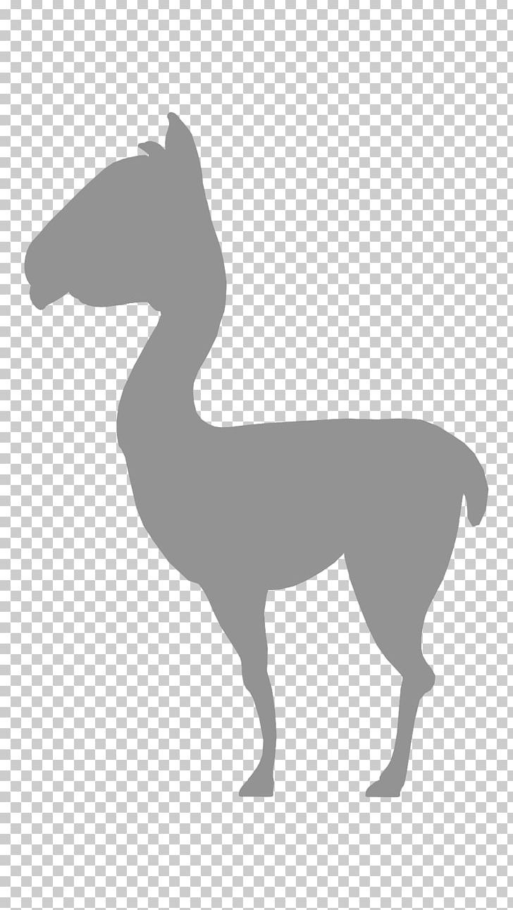 Horse Canidae Camel Dog Pack Animal PNG, Clipart, Animal Figure, Animals, Black And White, Camel, Camel Like Mammal Free PNG Download