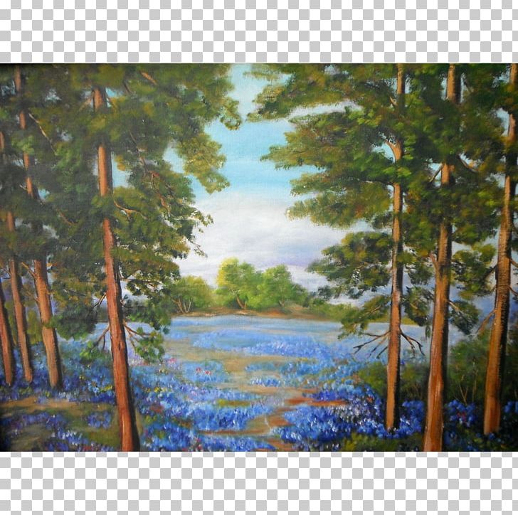 Watercolor Painting Acrylic Paint Texas Hill Country PNG, Clipart, Acrylic Paint, Acrylic Resin, Art, Bayou, Forest Free PNG Download
