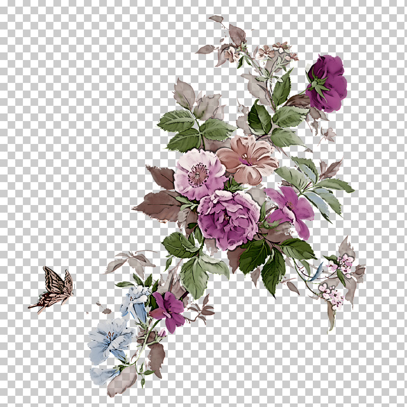 Flower Plant Lilac Branch Cut Flowers PNG, Clipart, Blossom, Branch, Cut Flowers, Flower, Lilac Free PNG Download