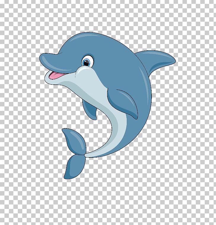 Common Bottlenose Dolphin Short-beaked Common Dolphin Rough-toothed Dolphin Tucuxi Wholphin PNG, Clipart, Beak, Bottlenose Dolphin, Cartoon, Fauna, Mammal Free PNG Download