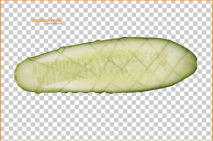 Cucumber Vegetable Waltham Zucchini Melon PNG, Clipart, Butternut Squash, Chayote, Cucumber, Cucumber Gourd And Melon Family, Food Free PNG Download
