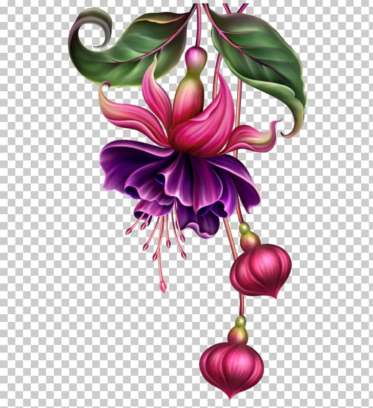 Fuchsia Watercolor Painting Digital Painting Pin PNG, Clipart, Art, Clothing Accessories, Color, Creation, Deco Free PNG Download