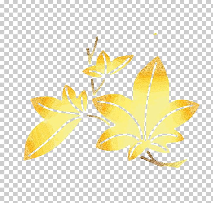 Maple Leaf Euclidean Gold PNG, Clipart, Autumn, Canadian Gold Maple Leaf, Euclidean Vector, Flower, Gold Free PNG Download