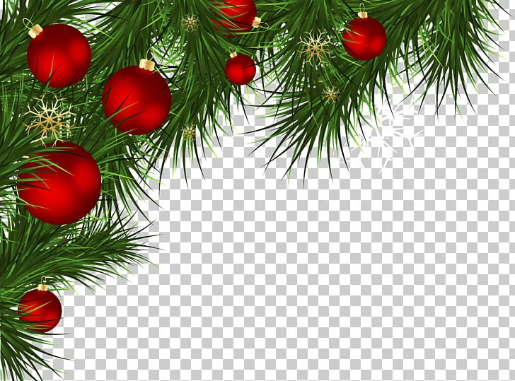 Santa Claus Christmas Decoration PNG, Clipart, Branch, Christmas, Christmas Decoration, Christmas Ornament, Christmas Tree Free PNG Download