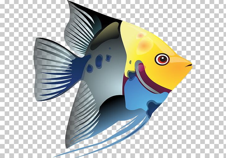 Tropical Fish PNG, Clipart, Animals, Beak, Color, Download, Fin Free PNG Download