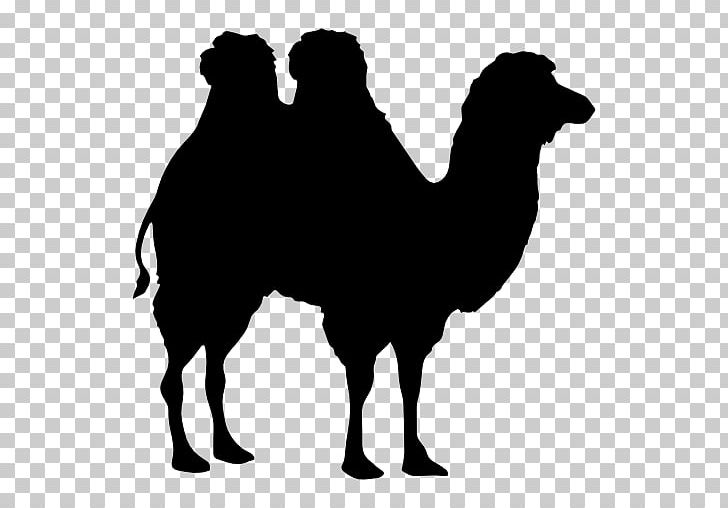 Bactrian Camel Dromedary Silhouette Shape PNG, Clipart, Animal, Animals, Bactrian Camel, Black, Black And White Free PNG Download