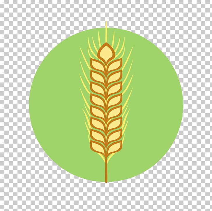 Flat Design Icon PNG, Clipart, Cartoon, Cartoon Wheat, Cereal, Commodity, Euclidean Vector Free PNG Download