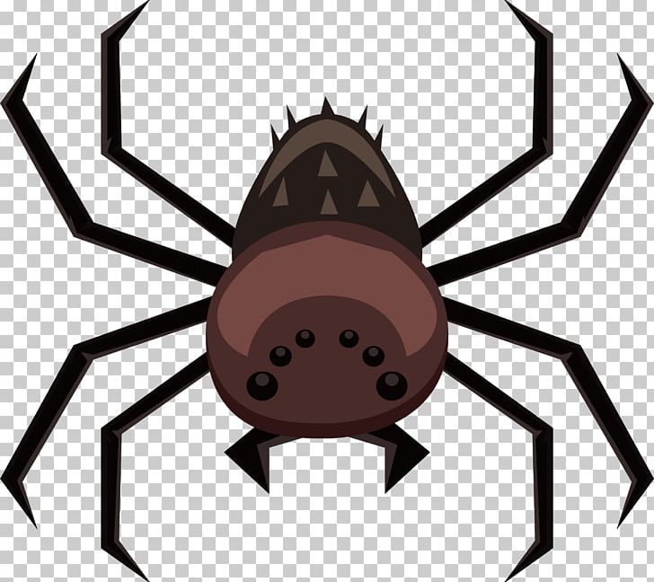 Spider Euclidean PNG, Clipart, Arachnid, Black, Black Widow, Cartoon Spider Web, Clip Art Free PNG Download