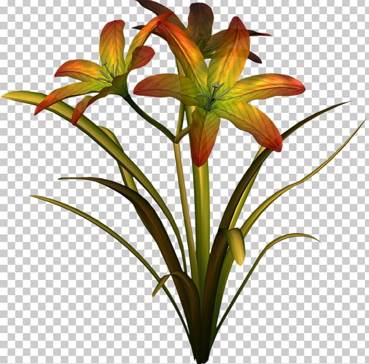 Cut Flowers Lilium Daylily Plant PNG, Clipart, Cut Flowers, Daylily, Depositfiles, Flora, Flower Free PNG Download