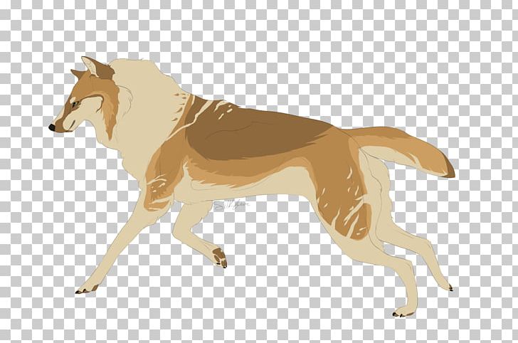 Dog Breed Dingo Canidae Mammal PNG, Clipart, Animal, Animals, Breed, Canidae, Carnivora Free PNG Download