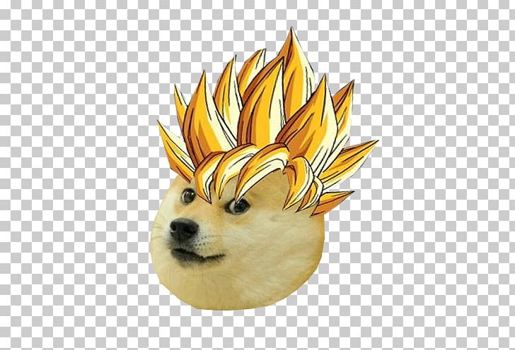 Meme Doge Png