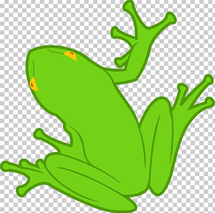 Frog Amphibian PNG, Clipart, Amphibian, Animal, Animals, Art, Artwork Free PNG Download