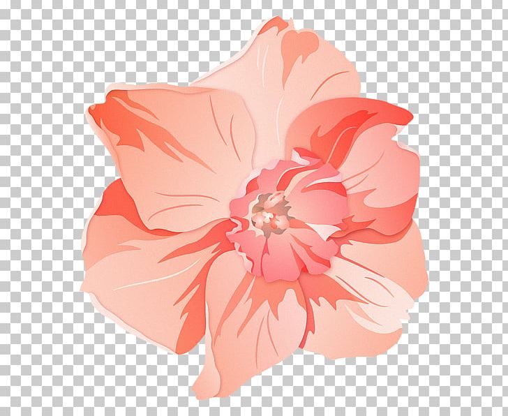 Hibiscus Pink M Family Herbaceous Plant PNG, Clipart, Family, Family Film, Flower, Flowering Plant, Herbaceous Plant Free PNG Download