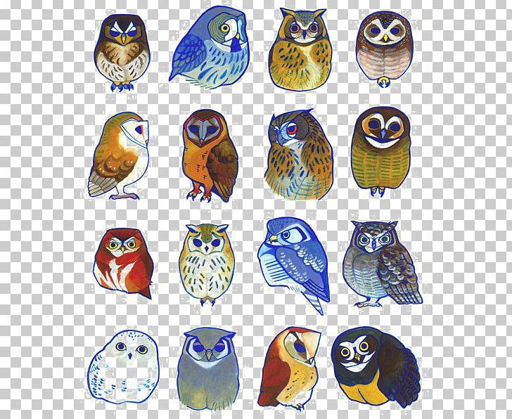 Owl Bird Drawing Illustration PNG, Clipart, Animals, Art, Barn Owl, Beak, Bird Of Prey Free PNG Download