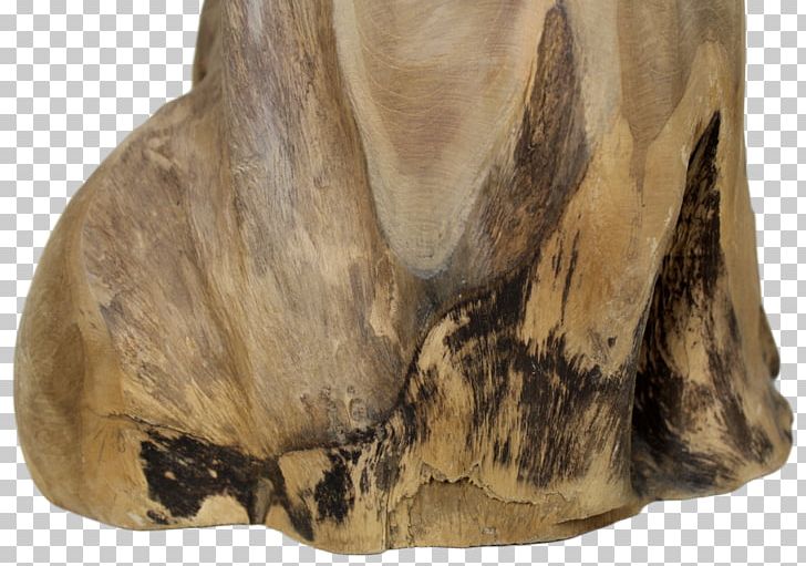 Snout Fur PNG, Clipart, Fur, Jaw, Rock, Small Stools, Snout Free PNG Download