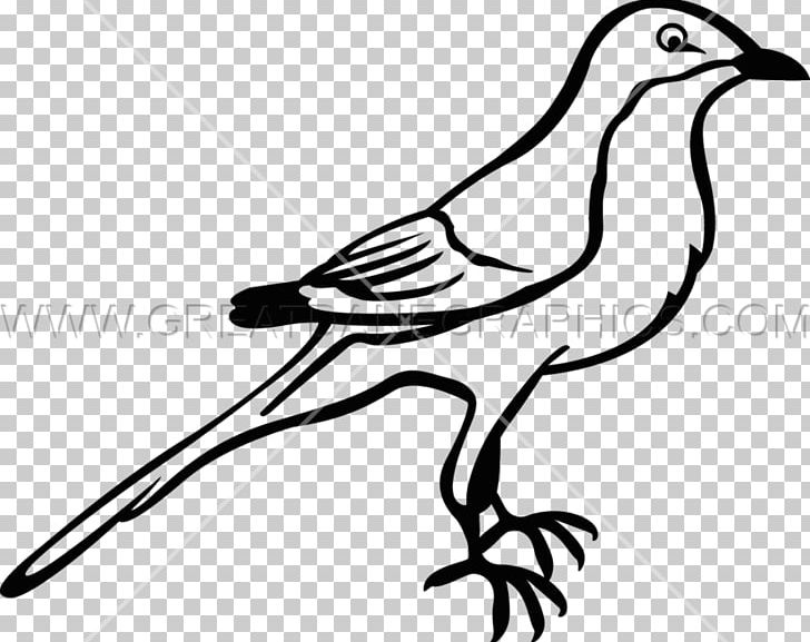To Kill A Mockingbird Drawing Northern Mockingbird PNG, Clipart, Art, Artwork, Beak, Bird, Black And White Free PNG Download
