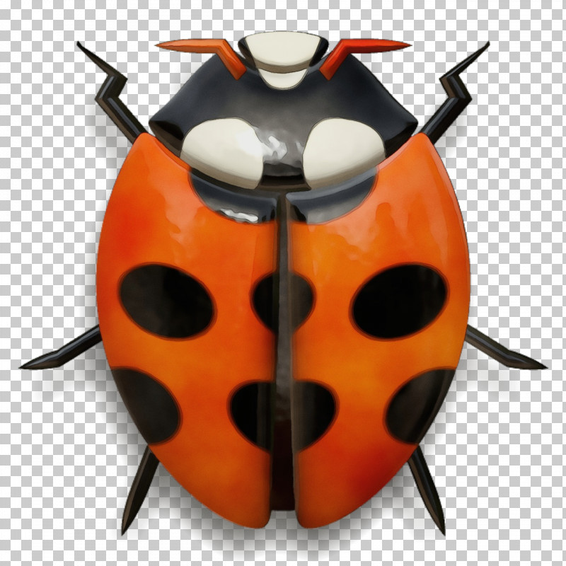 Orange PNG, Clipart, Beetle, Bug, Insect, Jewel Bugs, Ladybug Free PNG Download