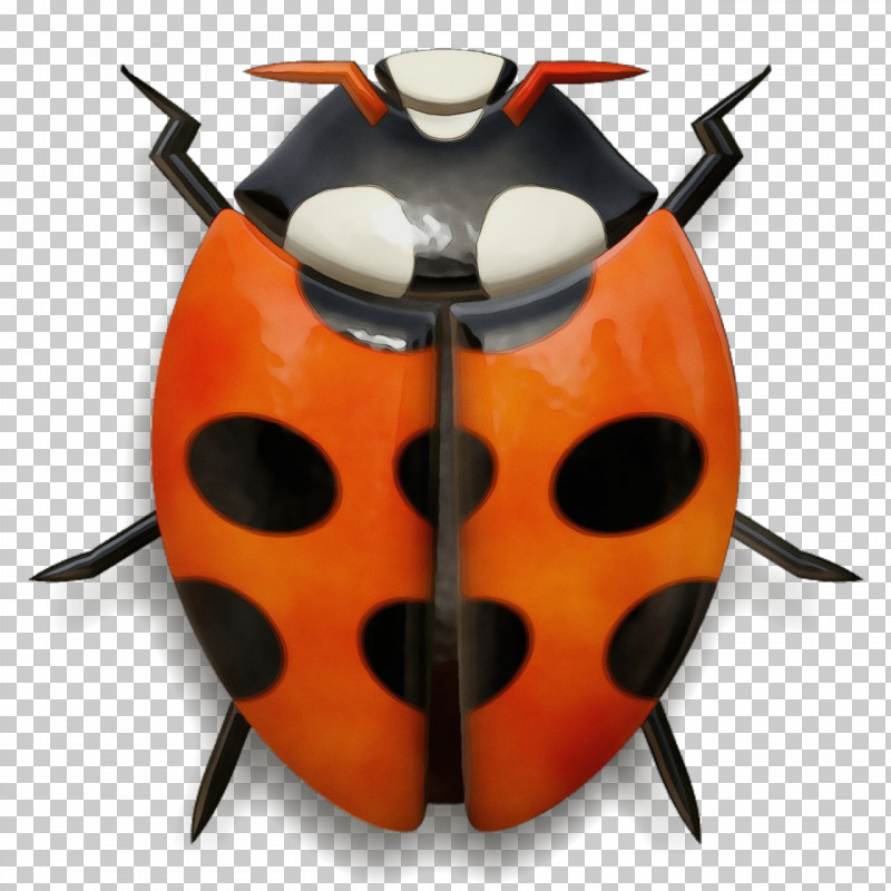 Orange PNG, Clipart, Beetle, Bug, Insect, Jewel Bugs, Ladybug Free PNG ...