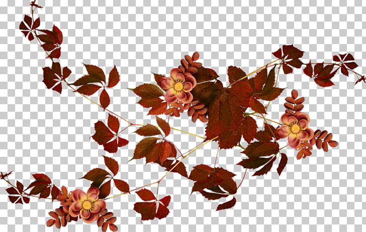 Autumn Leaves Frames PNG, Clipart, Autumn, Autumn Leaves, Blog, Branch, Flower Free PNG Download