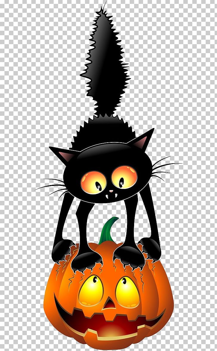 Black Cat Halloween PNG, Clipart, Black Cat, Calabaza, Carnivoran, Cartoon, Cat Free PNG Download