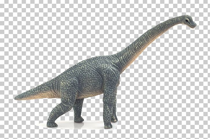 Brachiosaurus Triceratops Dinosaur Tyrannosaurus Spinosaurus PNG, Clipart, Animal, Animal Figure, Apatosaurus, Brachiosaurus, Brontosaurus Free PNG Download