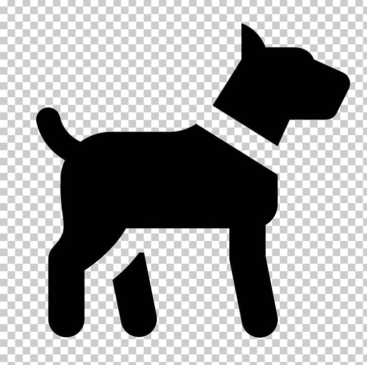 Dog Breed Cat Food Puppy PNG, Clipart,  Free PNG Download