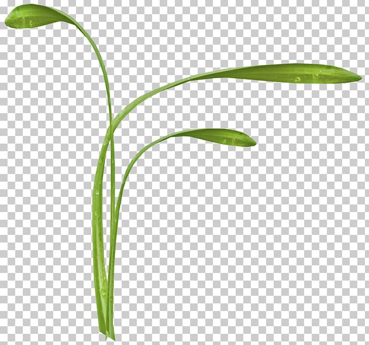 Flower Computer Icons Herbaceous Plant PNG, Clipart, Bumblebee, Cartoon, Cartoon Grass, Clip Art, Color Free PNG Download