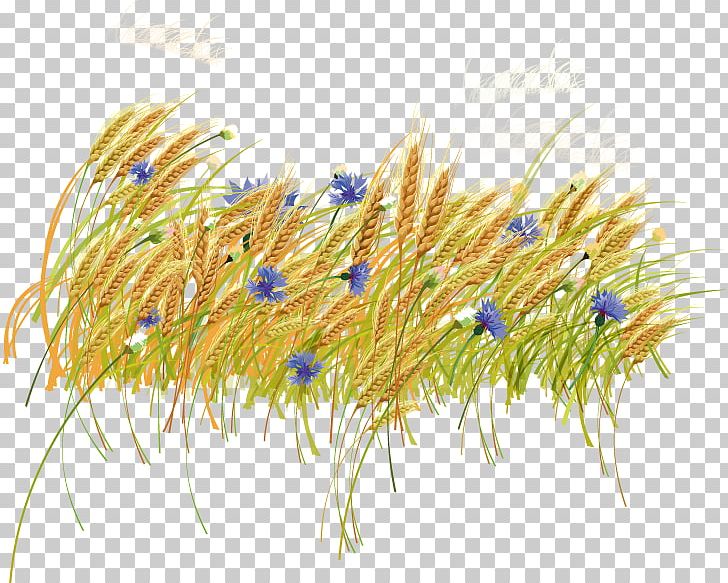 Haystack Wheat PNG, Clipart, Commodity, Computer Software, Decoration, Decorative Vector, Encapsulated Postscript Free PNG Download