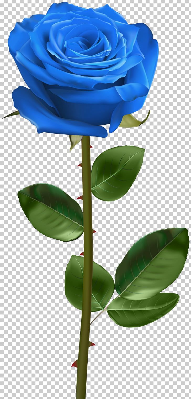 Blue Rose PNG, Clipart, Blue, Blue Rose, Bud, Cut Flowers, Drawing Free PNG Download