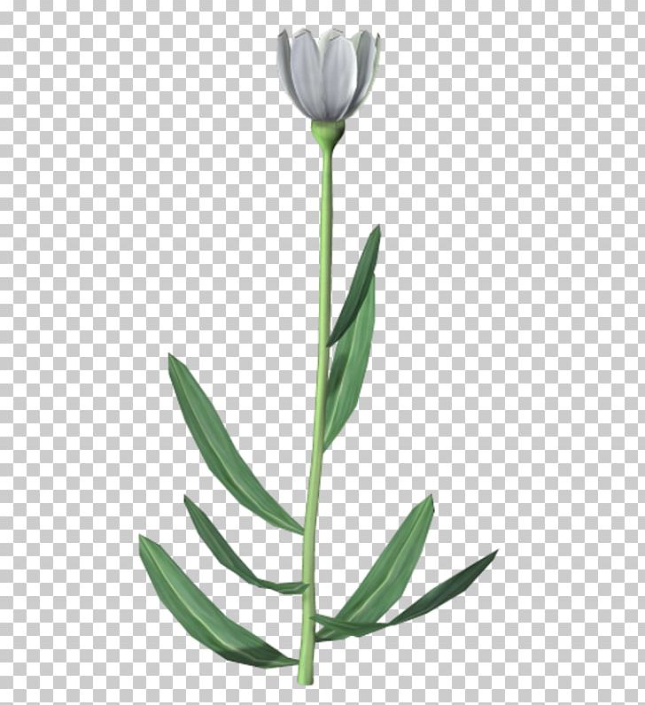 Flower Icon PNG, Clipart, Christmas Decoration, Creative, Creative Painting Flowers, Decorative, Decorative Elements Free PNG Download
